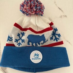 2013-2014 Exclusive Mammoth Mountain Beanie